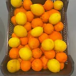 La Garrofera * Aldover