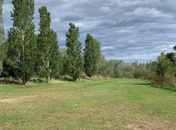 La Garrofera
