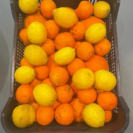 La Garrofera * Aldover