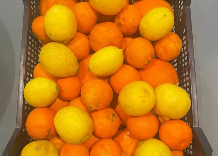 La Garrofera * Aldover